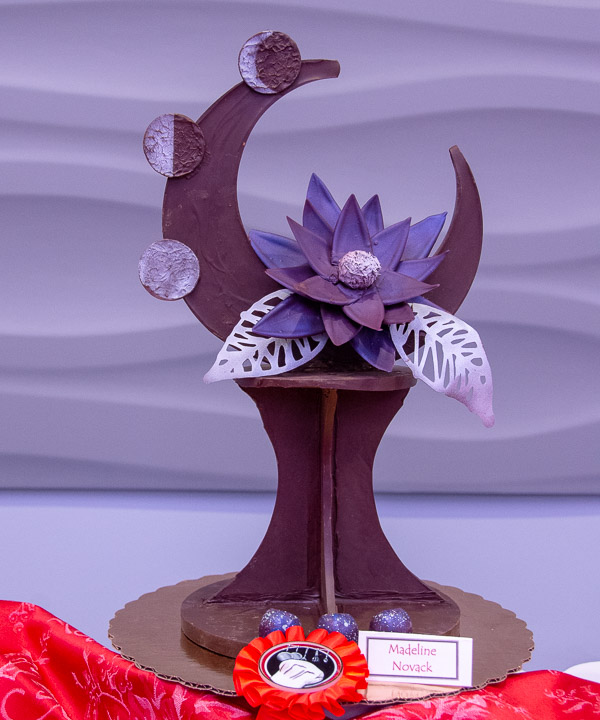 Madeline J. Novack’s lunar entry receives second place.