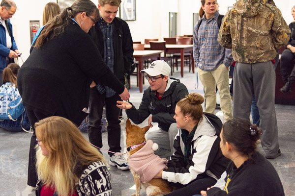 The rule of reciprocity: Dogs bring joy to students, and students feed treats to the dogs.