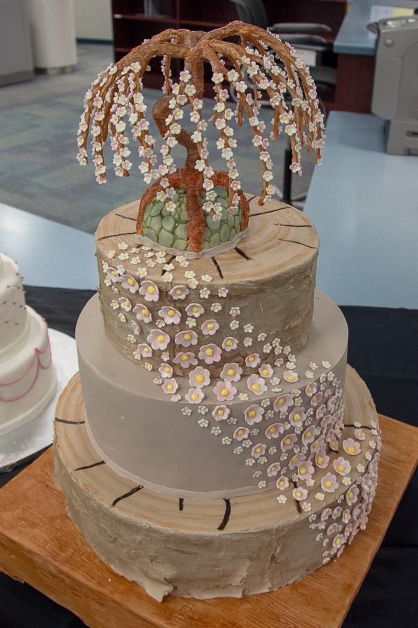 LeBlanc’s winning entry: a cake topped with a hand-molded weeping cherry tree