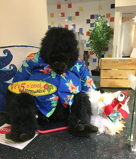 Coco, Dining Services' resident gorilla, is ready to party.