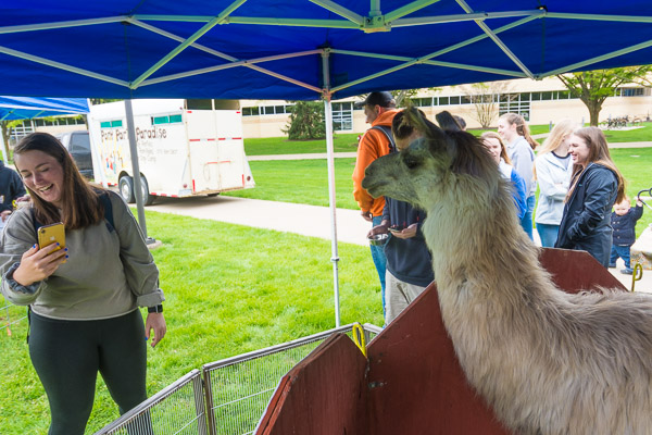 This furry visitor doesn't mind the attention.
