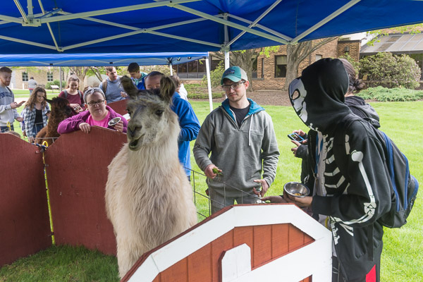 A carefree critter, just hangin' out