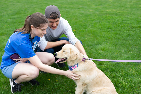 Anna E. Osieski, of Old Forge, and Tyler M. Immordino, of Lawrence Township, N.J., enjoy the calming company of Winnie, a golden retriever owned by Drew R. Potts, assistant professor of civil engineering technology.