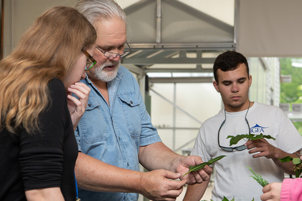 Grow & Design Horticulture participants learn plant identification and propagation techniques from Dennis P. Skinner (center), assistant professor of horticulture.