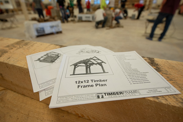 Students learn how to build their own timber-framed pavilion … 