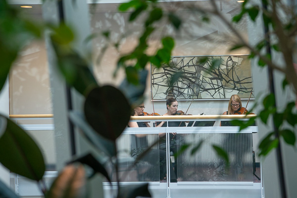 The teeming indoor terrarium offers a life-affirming vantage from which to enjoy the ensemble.