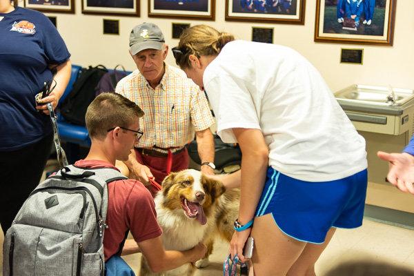 Poppy, an Australian shepherd owned by Robert A. (shown) and Carol A. Lugg, dean of construction and design technologies, is among the returning favorites.