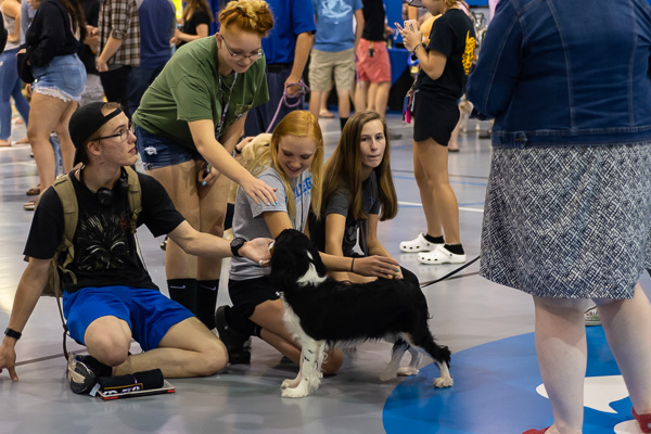 Sandor, the Cavalier King Charles spaniel of Allison A. Grove, associate director of student engagement, is readily surrounded by friends.