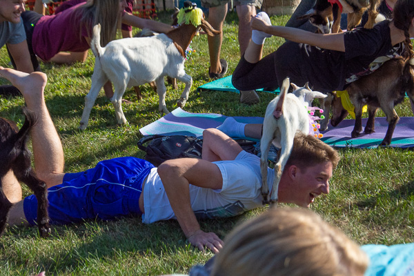 Welding technology student Taylor J. Elliott, of State College, laughs in the Goat Yoga mosh pit.