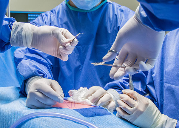 The August 2019 graduates of Pennsylvania College of Technology’s surgical technology major all passed the Certified Surgical Technologist examination on their first attempt.