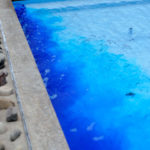 The deep-blue hue works its way through the fountain's pool, a change that will remain until after the college's Oct. 27 Open House.