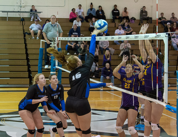 Kylee D. Butz (16), rises above the net during a hard-fought Bardo Gym performance by the Wildcats.
