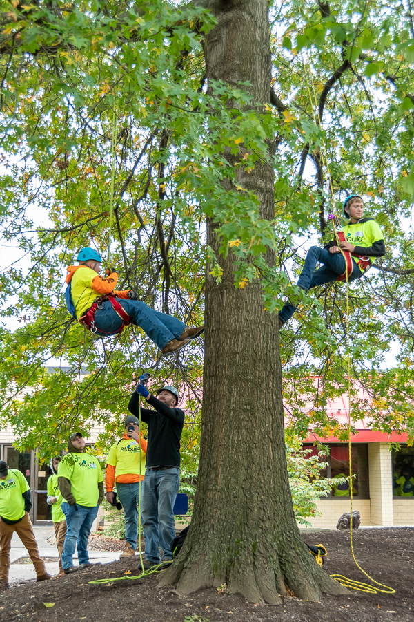 Horticulture instructor Justin Shelinski supervises students' travels up a tree ...