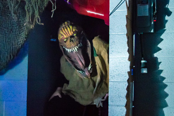 And you thought midterms were frightening!