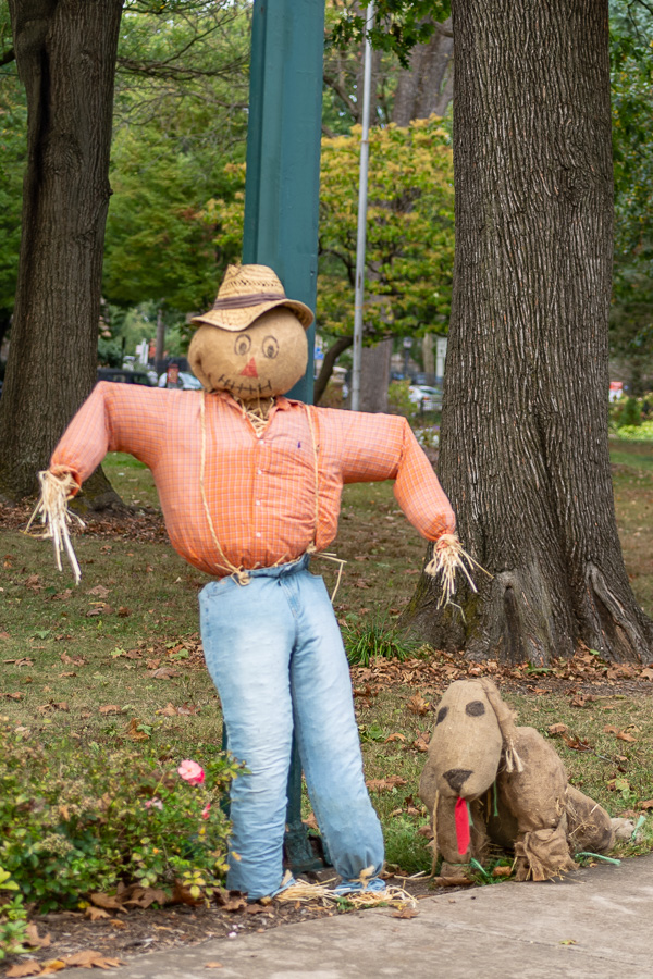 Straw man's best friend proves a faithful fall companion at West Fourth and Maynard streets.