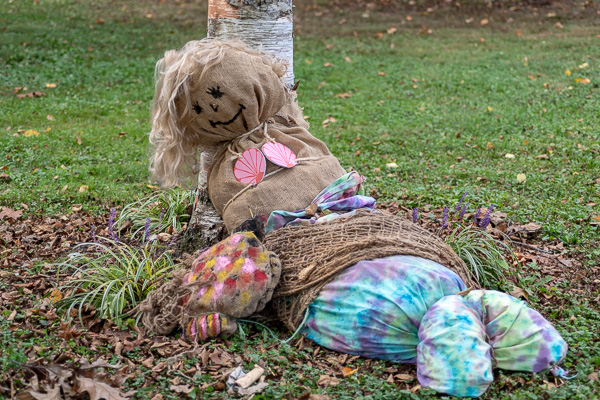 A mermaid ventures aboveground from her normal 