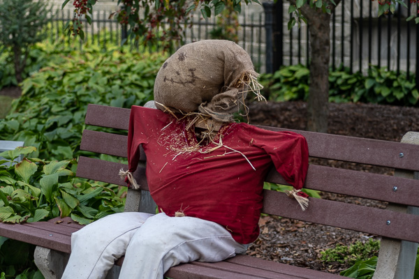 Granny Gardener gives her green thumbs a rest.