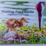 The book's cover colorfully hints at the treasures within ...