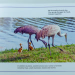 ... vibrant photos, courtesy of a campus benefactor.