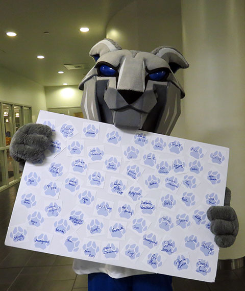 The Wildcat shows off paw prints signed by campaign donors.