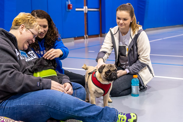 Students make friends with Jett and Bruno, playful pugs accompanied by owner/alumni relations specialist Rhonda S. Walker (foreground).