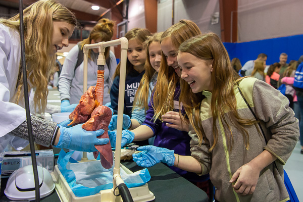 Pig lungs stir awe and engagement at a display hosted by Williamsport Area High School’s Health Professions career and technical education course.