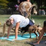 ... and sticking the landing!