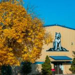 Fall near the Field House: When even the Wildcat can't resist leaf-peeping!