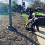 Traditionally involved in smaller projects closer to their Schneebeli Earth Science Center home base, horticulture students unroll sod on a sizeable (and well-prepped) tract near the PDC.