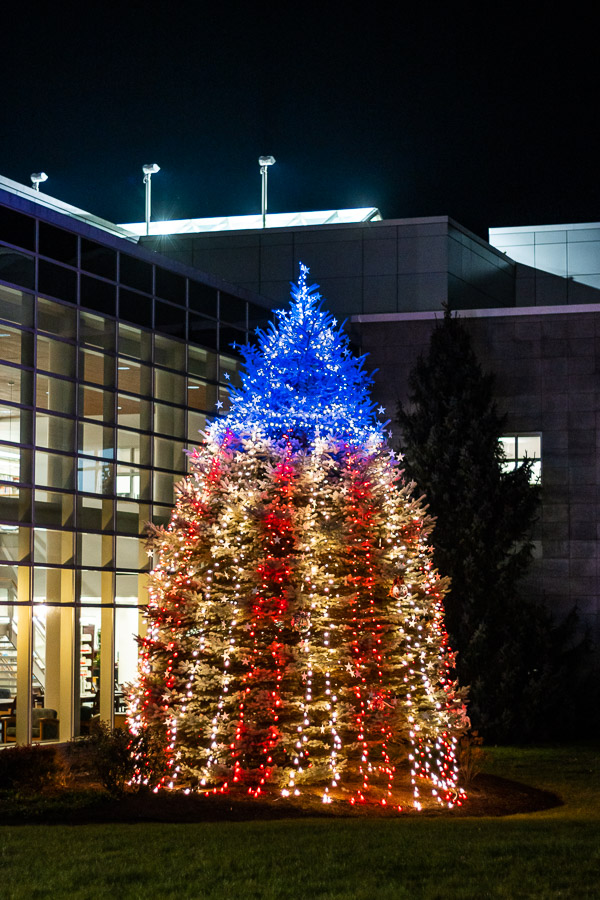 Fittingly illuminated in red, white and blue, the Veterans Tree holds 339 stars in tribute to the college's service personnel.