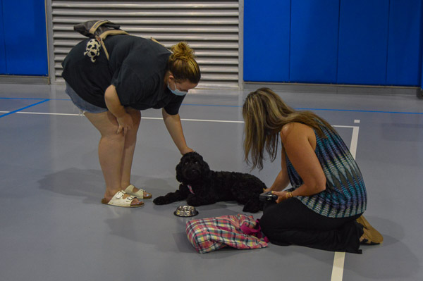 Bridgette R. Snyder's mini-Goldendoodle, Libby, makes a friend in the Field House. Snyder is secretary to Public Relations & Marketing.