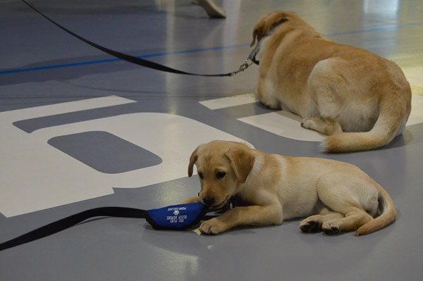 Too adorable for words, so we'll only say, 