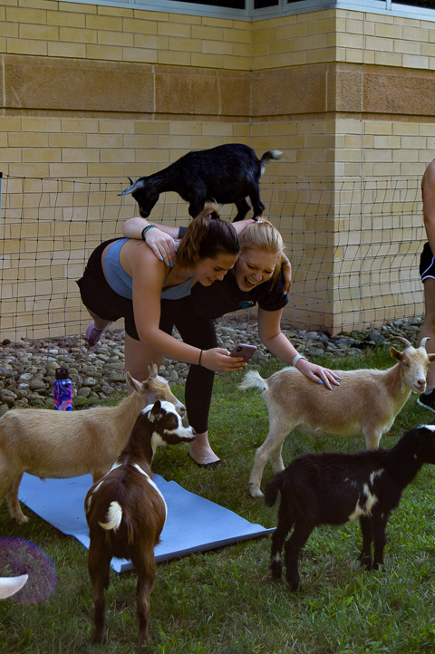 ... or maybe it's a tie.