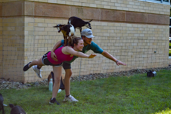 Participants raise their legs while goats lift their spirits.