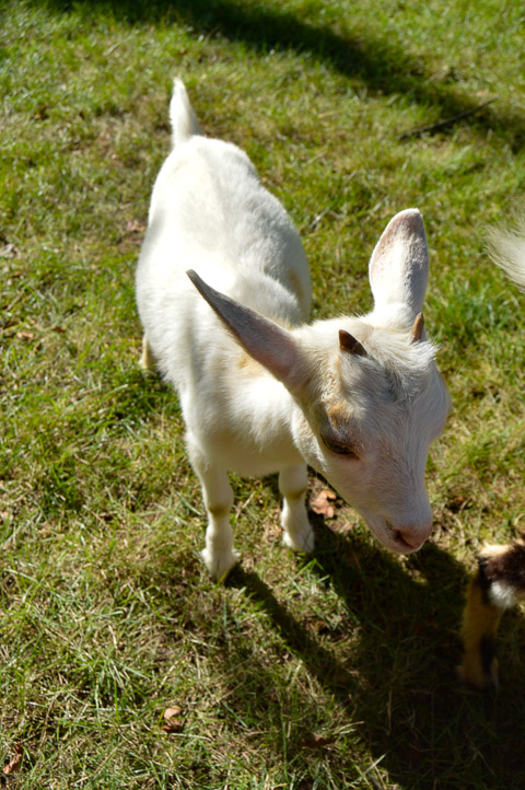 These kids are more than 