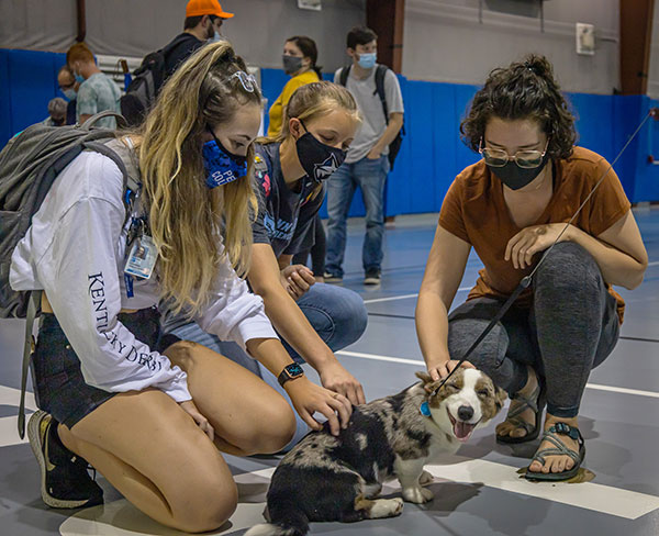 Catering to a very contented Merlin, a Cardigan Welsh corgi owned by General Services' Don J. Luke