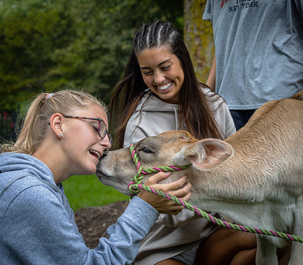 Two members of the Wildcat women's soccer team – Kaelan M. Cronan (left), of Leesport, and Morgan Feeley, of Bridgewater, N.J. – relish the moment. Cronan is a nursing major; her teammate is enrolled in applied health studies: radiography concentration.<br />
<br />
(Photo by Frank T. Kocsis III, a graphic design student from Dickson City)