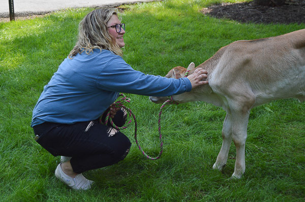 Stauffer, an automation engineering technology: robotics and automation major from Bath, encourages students to pet a calf and join WEB.