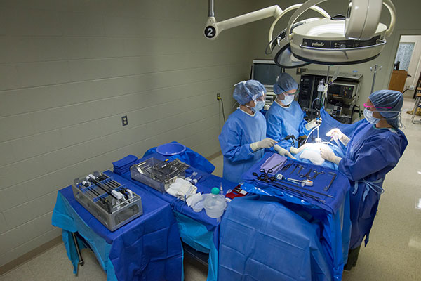 Pennsylvania College of Technology’s surgical technology major – which provides hands-on education on campus in mock operating suites, as well as experience in area health care facilities – was granted continued accreditation by the Commission on Accreditation of Allied Health Education Programs.