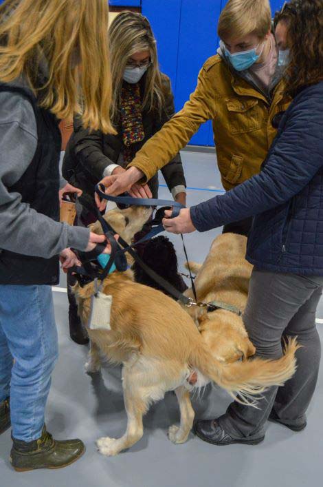 As co-workers and canines get reacquainted, tangled leashes take a team effort to fix. At the center of the scrum are Libby and Norman, a miniature goldendoodle and golden retriever, respectively, attending with Public Relations & Marketing secretary Bridgette R. Snyder; and Jake, a Labrador retriever accompanied by Tanya L. Shipman, duplicating and finishing technician in Printing and Document Services.