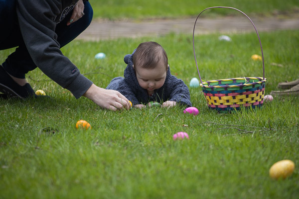 A tip from this bunny-level searcher: The best eggs are closest to the ground.