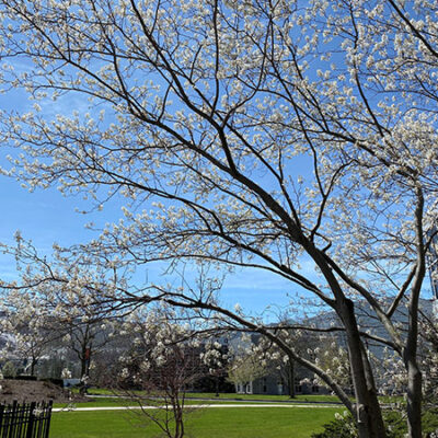 Slightly chilly, yet still a beautiful day!