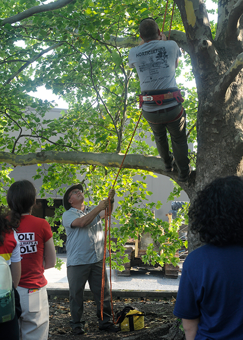 Carl J. Bower Jr., assistant professor of horticulture, assists a tree-climbing exercise ...