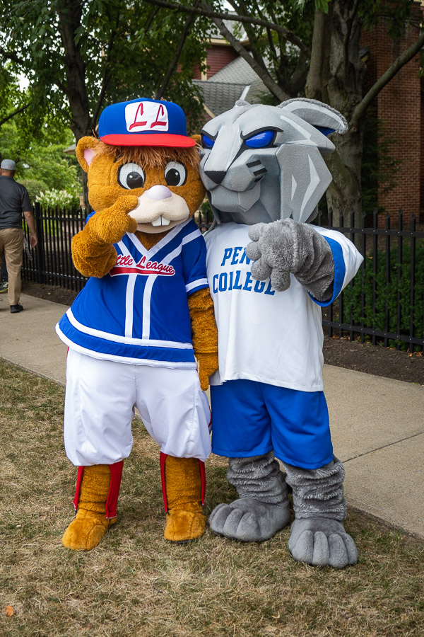 Cementing a time-honored partnership between Little League and Penn College, Dugout and the Wildcat convene a meeting of the mascots.