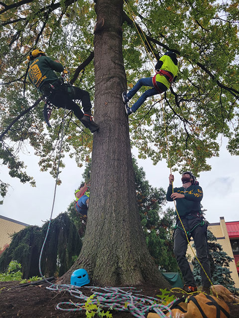Despite blustery winds and drizzle that occasionally was more than a nuisance, sustained breaks in the weather allowed for outdoor activities to proceed as scheduled. Shreiner Tree Care (including 2019 forestry grad Michael S. Shreiner) and horticulture instructor Justin Shelinski helped facilitate tree-climbing near the Dunham Children's Learning Center.