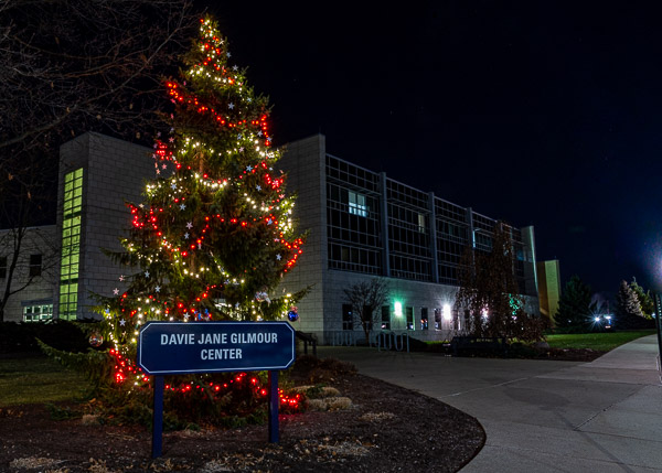 The Veterans Holiday Tree, actually the third tree to be enlisted for the cause in the past eight years, stands proud and tall outside a newly named landmark.