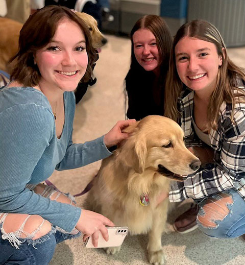 Winnie and Indy (shown here) – the reliably winsome golden retrievers of Drew R. Potts, assistant professor of civil engineering technology – make stress disappear with the merest wag of a tail.