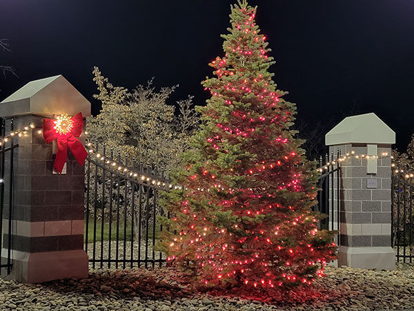 A splash of holiday red adorns the commemorative pillars at the gateway to campus.