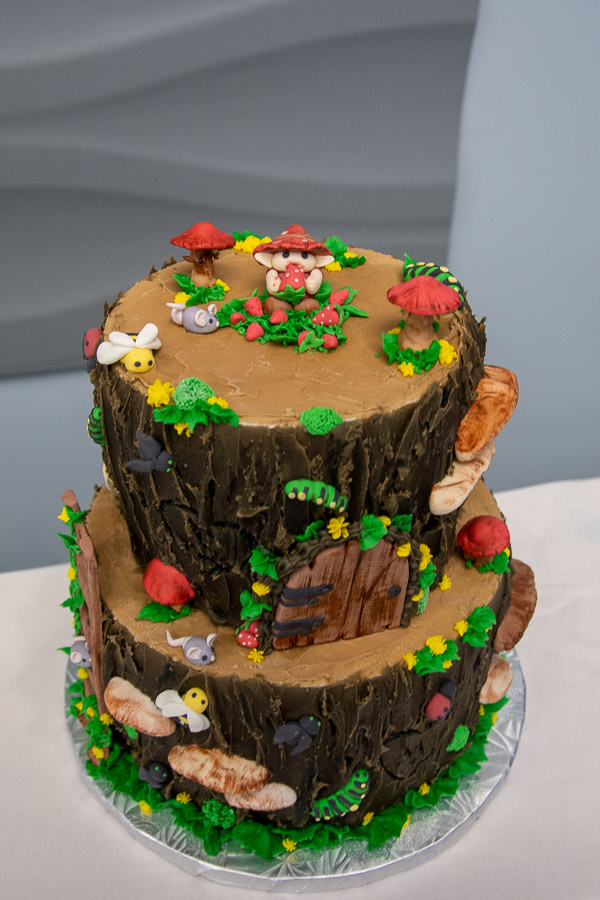 A fanciful woodland entry from the Cakes & Decorations class