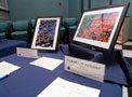 Student photographs auctioned to raise scholarship money